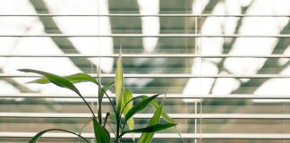 Vertical Slat Blinds: The Underrated Patio Door Solution