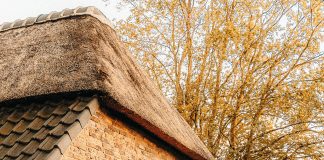 Find the Benefits of Dutch Cottage for Calmness and Comfort