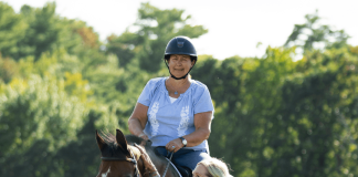 They Never Left: How Horses Led Me Home