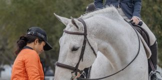 Keep it Simple: the Most Overlooked Truth in Training