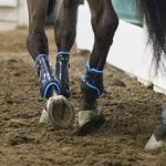 Trainer Tuesday: How do you handle a rider who gets angry when something isn’t as easy as they think it is going to be or should be?