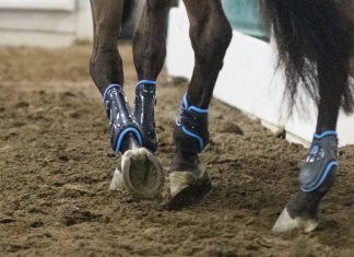 Trainer Tuesday: How do you handle a rider who gets angry when something isn’t as easy as they think it is going to be or should be?