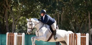 Are 2’6” Divisions Becoming More Competitive Than Ever?