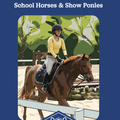 Show Strides Vol. 1: School Horses & Show Ponies