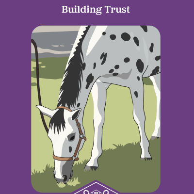Show Strides Vol. 7: Building Trust