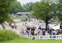 University of Connecticut’s New Equine Science and Management Major Bolsters Education Opportunities