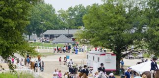University of Connecticut’s New Equine Science and Management Major Bolsters Education Opportunities