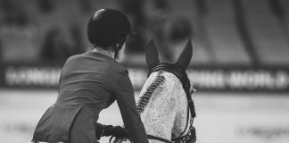 Rethinking Rivalry in the Show Ring