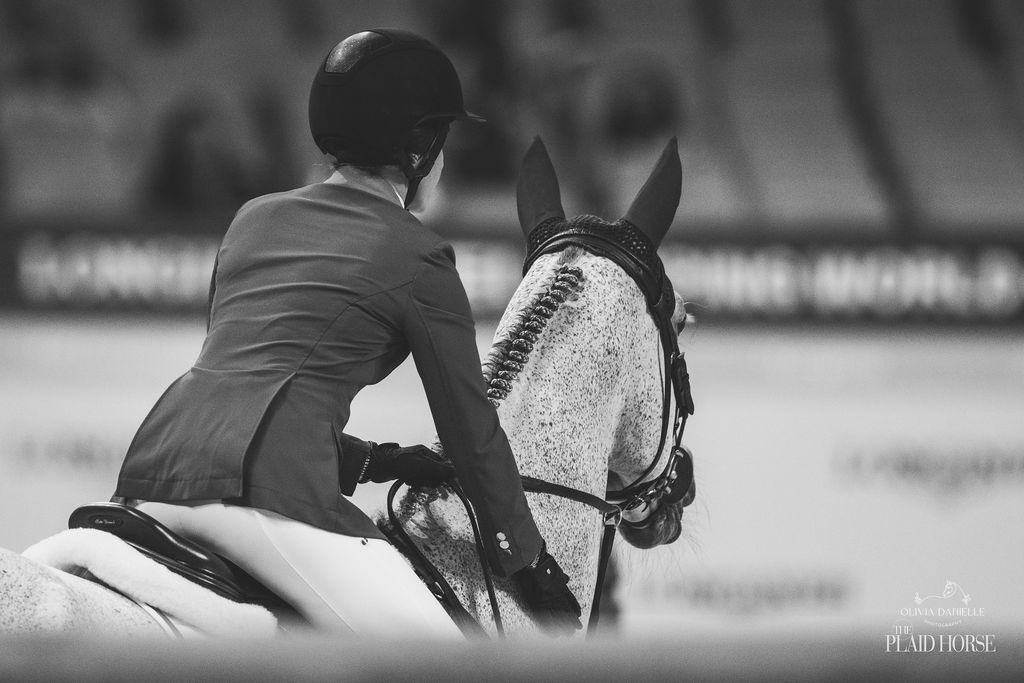 Rethinking Rivalry in the Show Ring - The Plaid Horse Magazine