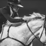 The Myth of the “Perfect Horse”
