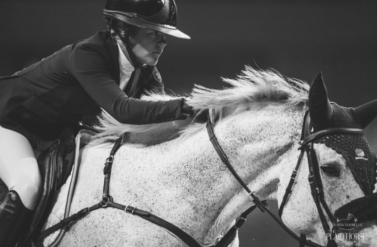 The Myth of the “Perfect Horse”
