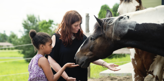 Expanding the Hoofprint for Healing