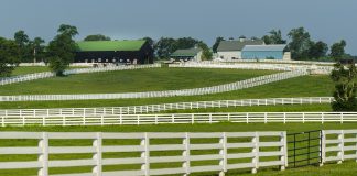 Boehringer Ingelheim Recognizes Exceptional Equine Caregivers: Inaugural “Share the Care” Award Recipients Announced