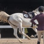 Why Fear Persists (Even When You Try to Push Through It)