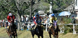How Betting Exchanges Are Changing the Way Horse Racing Fans Engage with the Sport