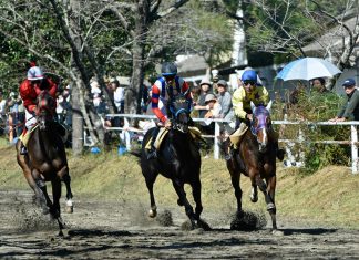 How Betting Exchanges Are Changing the Way Horse Racing Fans Engage with the Sport