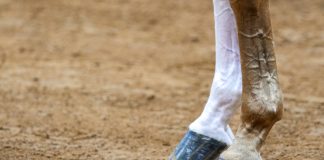 The Hidden Cause of Most Injuries (It’s Not One Bad Step)