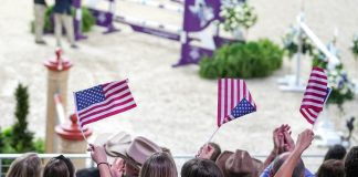 Bringing New Fans to Show Jumping: Lessons from Other Sports