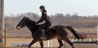 Schooling vs. Showing: Why Practice Shouldn’t Look Like the Show Ring