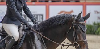 Looking at the Added Costs of Tariffs in Equestrian Competition