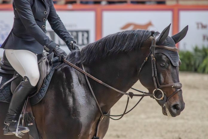 Looking at the Added Costs of Tariffs in Equestrian Competition
