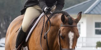 Zoetis Equine Renews Title Sponsorship for the 2026 Horses for Mental Health Campaign