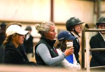 For Andi Bill, Horses and Civil Engineering Work go Hand-In-Hand