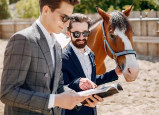 How Top Equestrian Content Creators Fund Their Passion – Beyond Sponsorships and Lessons