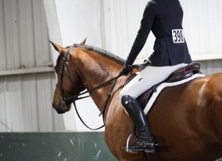 Trainer Tuesday: How Would You Help A Rider Who Tends To Sit Back Too Quickly Over The Jump?