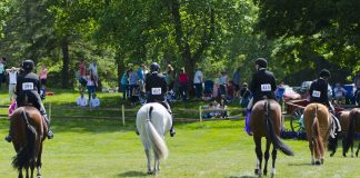 What Medicine Figured Out That We Haven’t: The Case for Equestrian-Training M&M-Style Conferences