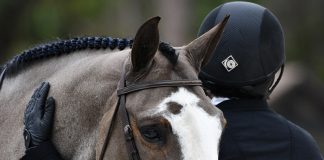On Heart Horses