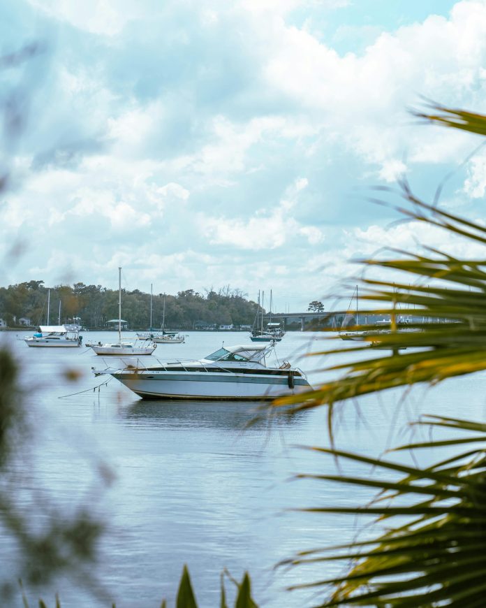 pexels-capturejacksonville-11488874