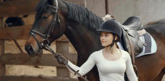 How Busy Equestrians Are Using AI to Handle the Non-Riding Side of Horse Ownership