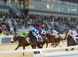 Key App Features to Compare Before Betting on the Belmont Stakes Online