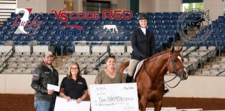 AQHA English Versatility Series Leaderboard Showcases Top Horses Nationwide