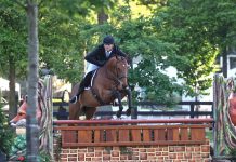The Thoroughbred Project: Are You Afraid of a Ghost?