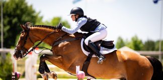 Olivia Sweetnam Earns First FEI Grand Prix Victory