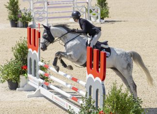 Trainer Tuesday: How Would You Help A Rider Who Twists Their Body In The Saddle?