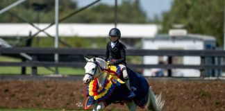 Winchell and Heavenly Patch of Blue Take Top Honors in USHJA Pony Hunter Derby Championship – West