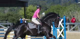 Trainer Tuesday: How Do You Help A Rider Who Tends to be Under-Paced to the First Jump?