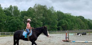 The Biggest Barrier for Non-Horse Families Entering the Sport is Understanding