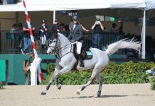 The Canter Is the Most Important Gait
