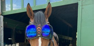 A Case for Allowing UV Goggles in Eventing and Dressage
