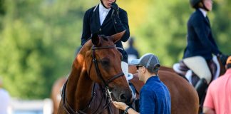 Tall Tales to a Horse Spouse