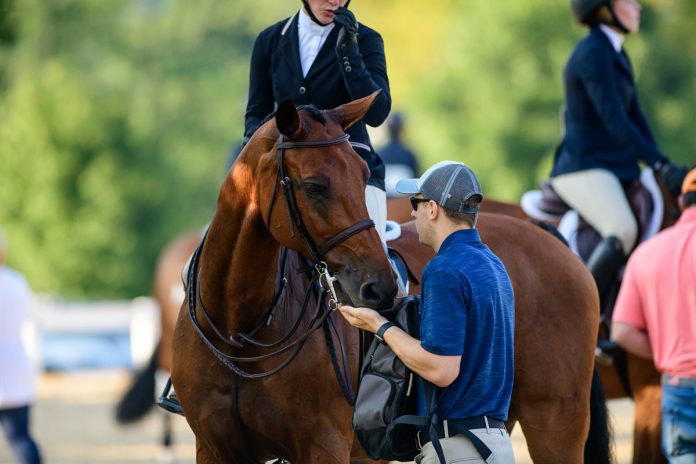 horsespouse
