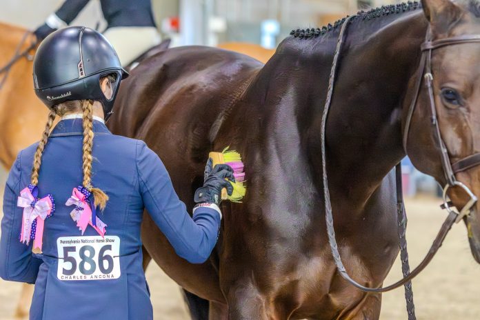 hunterhorsecare