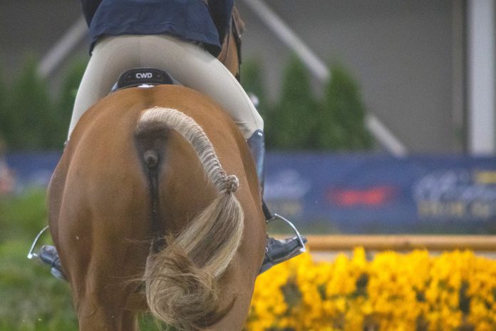 righthorse