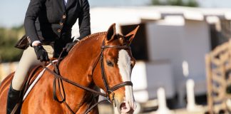In Defense of the “Selfish” Horse Girl