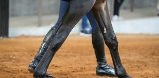 Time Is the One Thing You Can’t Prescribe in Treating Injuries