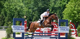 Marshall+Sterling Acquires HorseWorks Insurance Specialists, Expanding Equine Division into Connecticut